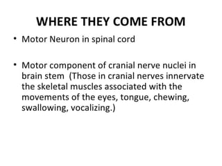 Upper & Lower Motor Neuron Lesions.pptx
