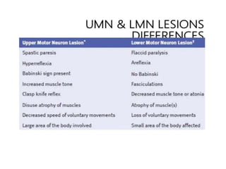 Upper & Lower Motor Neuron Lesions.pptx