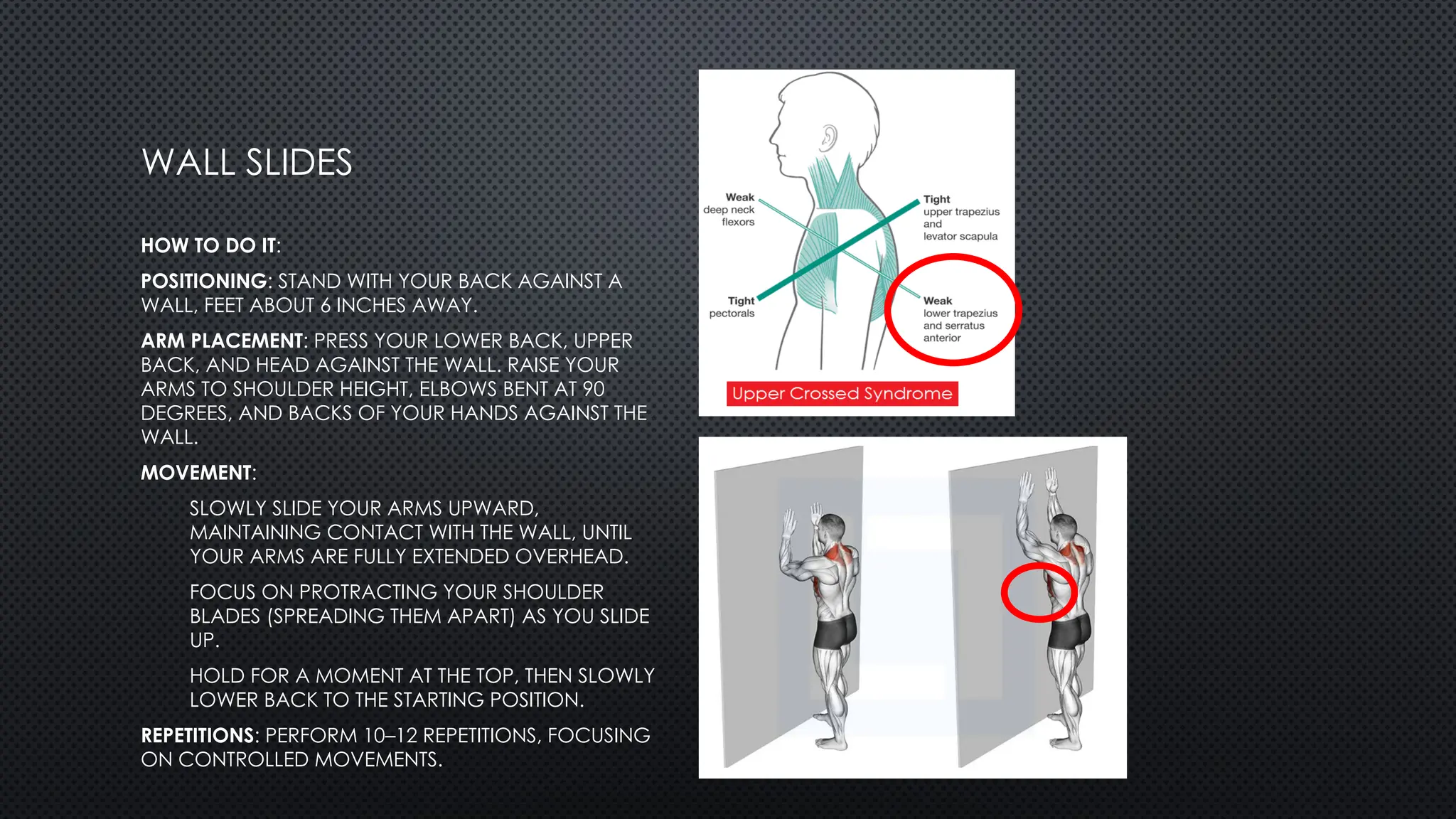 WALL SLIDES
HOW TO DO IT:
POSITIONING: STAND WITH YOUR BACK AGAINST A
WALL, FEET ABOUT 6 INCHES AWAY.
ARM PLACEMENT: PRESS YOUR LOWER BACK, UPPER
BACK, AND HEAD AGAINST THE WALL. RAISE YOUR
ARMS TO SHOULDER HEIGHT, ELBOWS BENT AT 90
DEGREES, AND BACKS OF YOUR HANDS AGAINST THE
WALL.
MOVEMENT:
SLOWLY SLIDE YOUR ARMS UPWARD,
MAINTAINING CONTACT WITH THE WALL, UNTIL
YOUR ARMS ARE FULLY EXTENDED OVERHEAD.
FOCUS ON PROTRACTING YOUR SHOULDER
BLADES (SPREADING THEM APART) AS YOU SLIDE
UP.
HOLD FOR A MOMENT AT THE TOP, THEN SLOWLY
LOWER BACK TO THE STARTING POSITION.
REPETITIONS: PERFORM 10–12 REPETITIONS, FOCUSING
ON CONTROLLED MOVEMENTS.
 