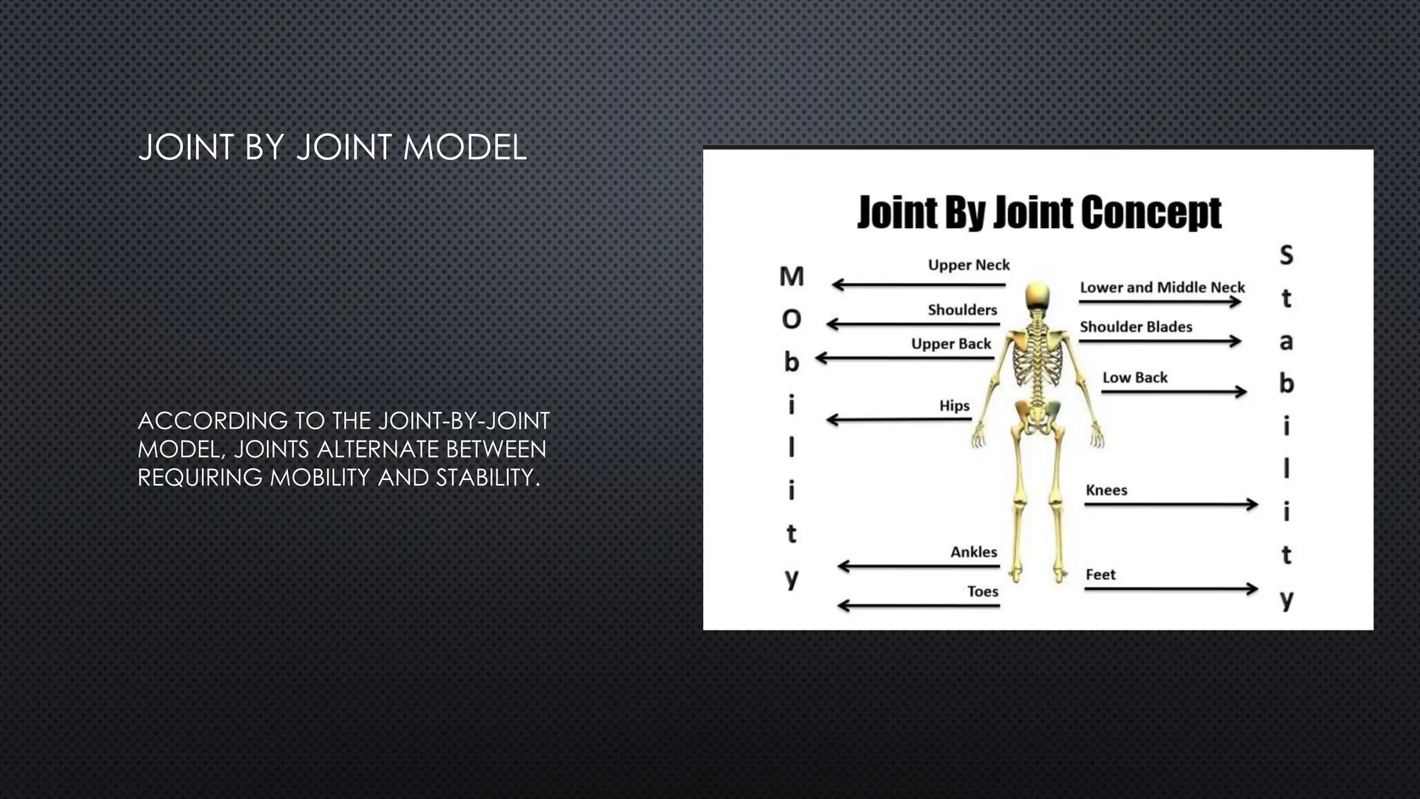 JOINT BY JOINT MODEL
ACCORDING TO THE JOINT-BY-JOINT
MODEL, JOINTS ALTERNATE BETWEEN
REQUIRING MOBILITY AND STABILITY.
 