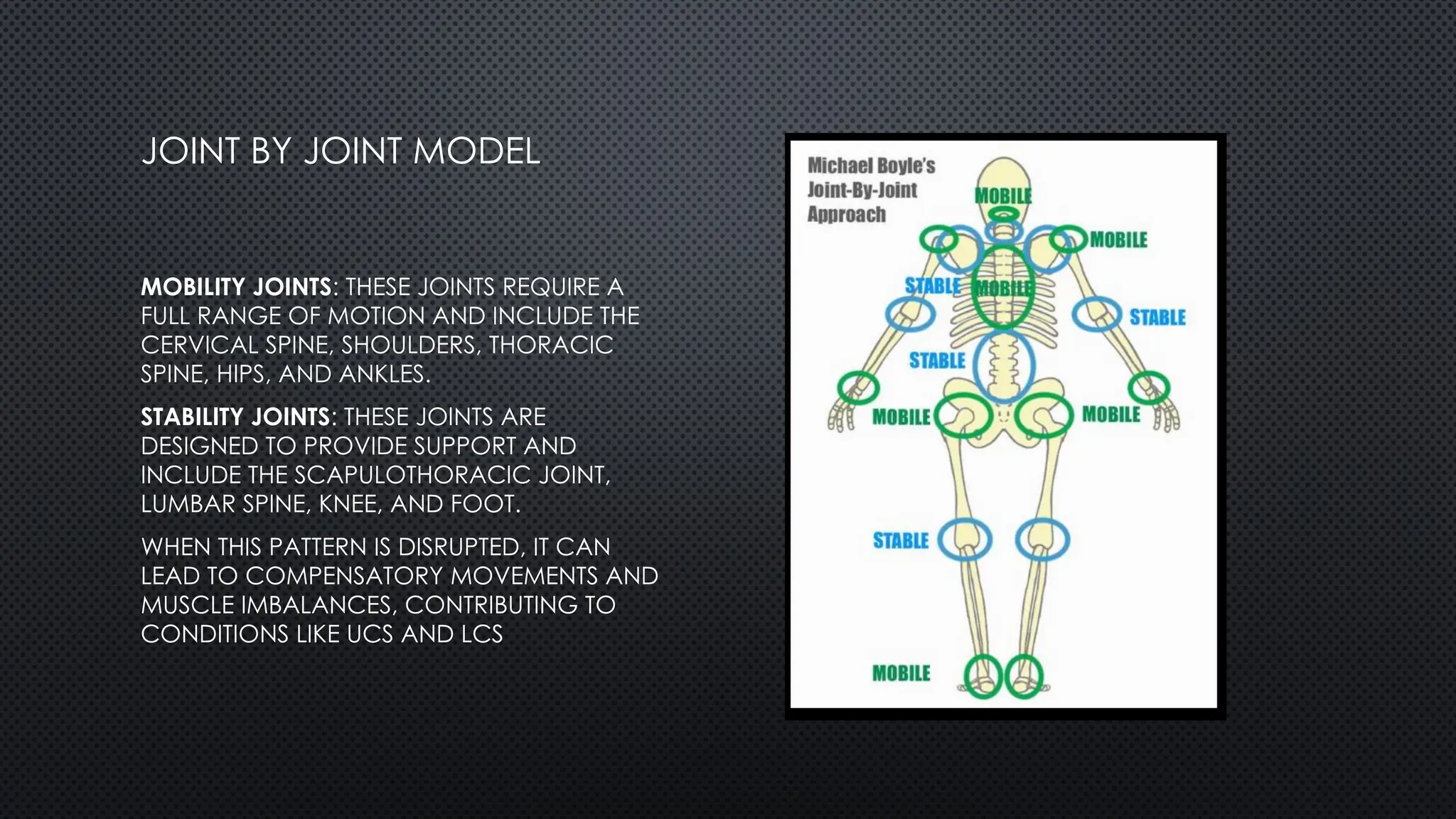 JOINT BY JOINT MODEL
MOBILITY JOINTS: THESE JOINTS REQUIRE A
FULL RANGE OF MOTION AND INCLUDE THE
CERVICAL SPINE, SHOULDERS, THORACIC
SPINE, HIPS, AND ANKLES.
STABILITY JOINTS: THESE JOINTS ARE
DESIGNED TO PROVIDE SUPPORT AND
INCLUDE THE SCAPULOTHORACIC JOINT,
LUMBAR SPINE, KNEE, AND FOOT.
WHEN THIS PATTERN IS DISRUPTED, IT CAN
LEAD TO COMPENSATORY MOVEMENTS AND
MUSCLE IMBALANCES, CONTRIBUTING TO
CONDITIONS LIKE UCS AND LCS
 