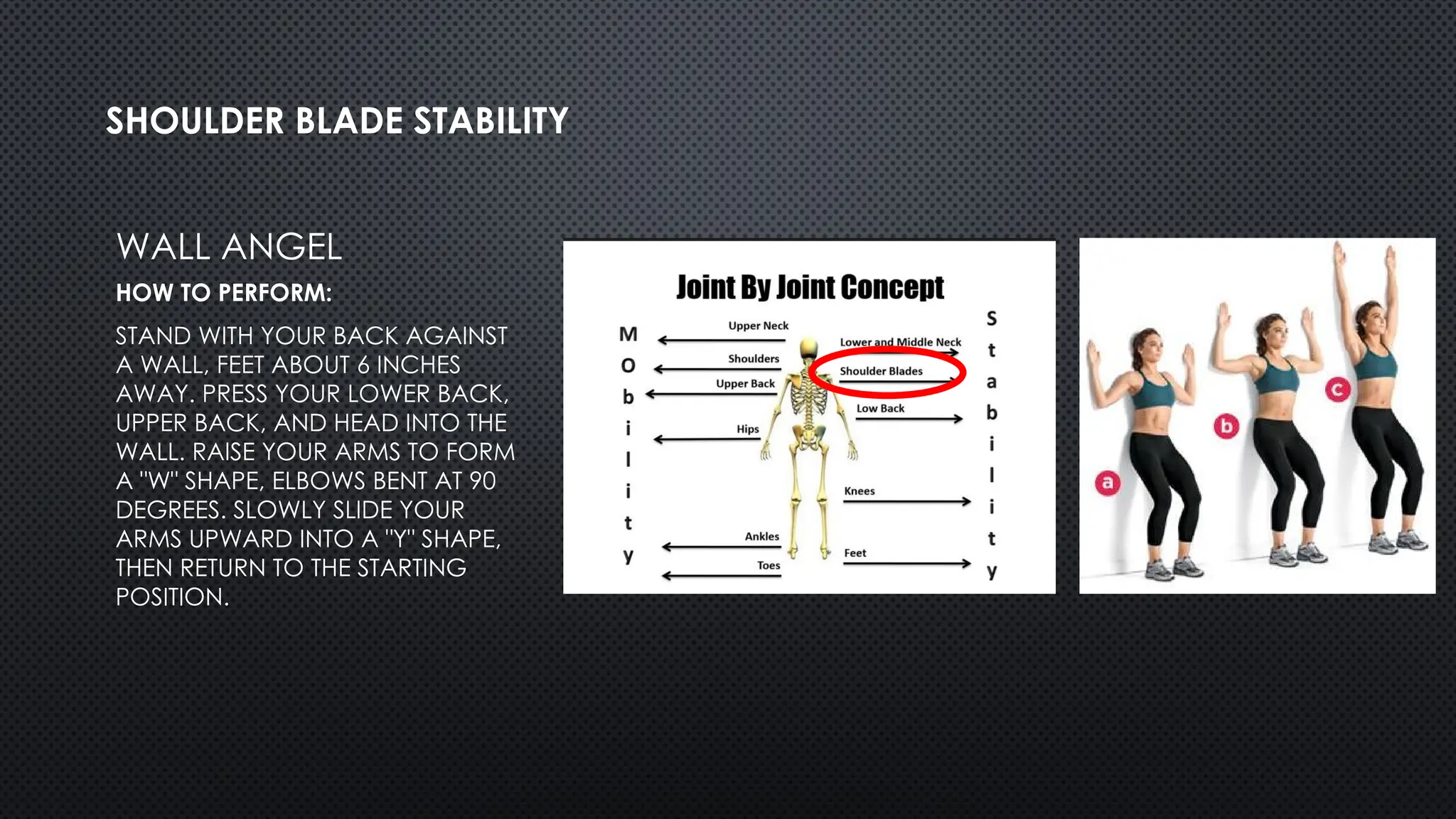 WALL ANGEL
HOW TO PERFORM:
STAND WITH YOUR BACK AGAINST
A WALL, FEET ABOUT 6 INCHES
AWAY. PRESS YOUR LOWER BACK,
UPPER BACK, AND HEAD INTO THE
WALL. RAISE YOUR ARMS TO FORM
A "W" SHAPE, ELBOWS BENT AT 90
DEGREES. SLOWLY SLIDE YOUR
ARMS UPWARD INTO A "Y" SHAPE,
THEN RETURN TO THE STARTING
POSITION.
SHOULDER BLADE STABILITY
 