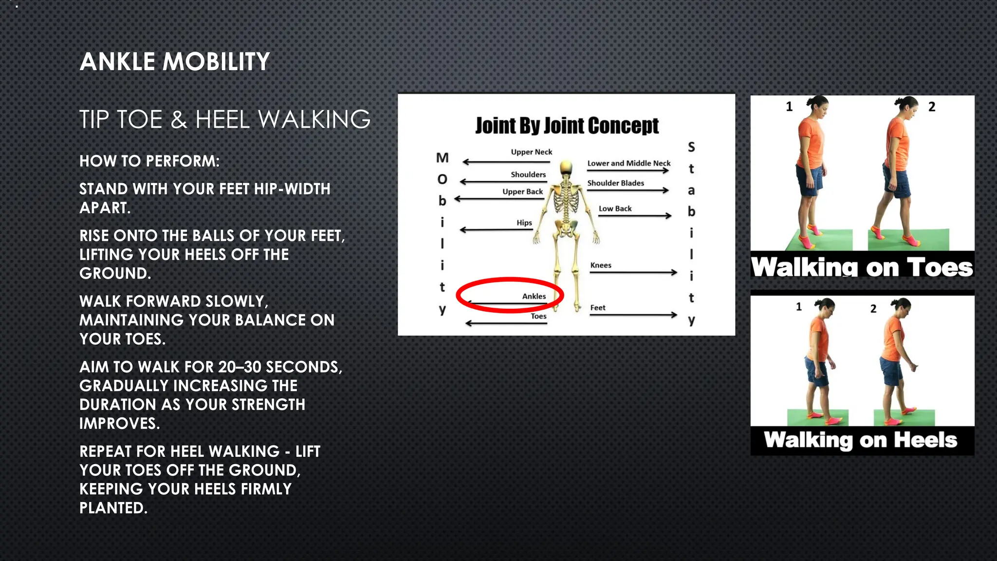 TIP TOE & HEEL WALKING
HOW TO PERFORM:
STAND WITH YOUR FEET HIP-WIDTH
APART.
RISE ONTO THE BALLS OF YOUR FEET,
LIFTING YOUR HEELS OFF THE
GROUND.
WALK FORWARD SLOWLY,
MAINTAINING YOUR BALANCE ON
YOUR TOES.
AIM TO WALK FOR 20–30 SECONDS,
GRADUALLY INCREASING THE
DURATION AS YOUR STRENGTH
IMPROVES.
REPEAT FOR HEEL WALKING - LIFT
YOUR TOES OFF THE GROUND,
KEEPING YOUR HEELS FIRMLY
PLANTED.
ANKLE MOBILITY
•.
 