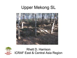 Upper Mekong SL
Rhett D. Harrison
ICRAF East & Central Asia Region
 