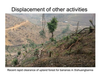 Upper Mekong Sentinel Landscape 