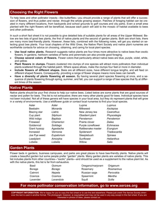 Choosing the Right Flowers
To help bees and other pollinator insects—like butterflies—you should provide a range of plants that will offer a succes-
sion of flowers, and thus pollen and nectar, through the whole growing season. Patches of foraging habitat can be cre-
ated in many different locations, from backyards and school grounds to golf courses and city parks. Even a small area
planted with the right flowers will be beneficial, because each patch will add to the mosaic of habitat available to bees
and other pollinators.

In such a short fact sheet it is not possible to give detailed lists of suitable plants for all areas of the Upper Midwest. Be-
low are two lists of good bee plants, the first of native plants and the second of garden plants. Both are short lists; there
are many more bee-friendly plants. However, these lists, combined with the following notes, will get you started on se-
lecting good bee plants. Your local chapters of the Wild Ones, the Native Plant Society and native plant nurseries are
worthwhile contacts for advice on choosing, obtaining, and caring for local plant species.
•   Use local native plants. Research suggests native plants are four times more attractive to native bees than exotic
    flowers. In gardens, heirloom varieties of herbs and perennials can also provide good foraging.
•   Choose several colors of flowers. Flower colors that particularly attract native bees are blue, purple, violet, white,
    and yellow.
•   Plant flowers in clumps. Flowers clustered into clumps of one species will attract more pollinators than individual
    plants scattered through the habitat patch. Where space allows, make the clumps four feet or more in diameter.
•   Include flowers of different shapes. Bees are all different sizes, have different tongue lengths, and will feed on
    different shaped flowers. Consequently, providing a range of flower shapes means more bees can benefit.
•   Have a diversity of plants flowering all season. By having several plant species flowering at once, and a se-
    quence of plants flowering through spring, summer, and fall, you can support a range of bee species that fly at differ-
    ent times of the season.

Native Plants
Native plants should be your first choice to help our native bees. Listed below are some plants that are good sources of
nectar and pollen for bees. This list is not exhaustive; there are many other plants good for bees. Individual species have
not been included. Not all of these genera will have species in your local area, but they do represent plants that will grow
in a variety of environments. Use a wildflower guide or contact local nurseries to find your local species.
                  Aster                Aster                    Lupine                  Lupinus
                  Beebalm              Monarda                  Milkweed                Asclepias
                  Blazing star         Liatris                  New Jersey tea          Ceanothus
                  Cup plant            Silphium                 Obedient plant          Physostegia
                  Wild indigo          Baptisia                 Penstemon               Penstemon
                  Fireweed             Chamerion                Prairie clover          Dalea
                  Goldenrod            Solidago                 Purple coneflower       Echinacea
                  Giant hyssop         Agastache                Rattlesnake master      Eryngium
                  Ironweed             Vernonia                 Spiderwort              Tradescantia
                  Joe Pye weed         Eupatorium               Steeplebush             Spiraea
                  Leadplant            Amorpha                  Sunflower               Helianthus
                  Lobelia              Lobelia                  Willow                  Salix

Garden Plants
Flower beds in gardens, business campuses, and parks are great places to have bee-friendly plants. Native plants will
create a beautiful garden but some people prefer “garden” plants. Many garden plants are varieties of native plants. This
list includes plants from other countries—”exotic” plants—and should be used as a supplement to the native plant list. As
with the native plants, this list is far from exhaustive.
                   Basil                  Ocimum              Oregano/marjoram      Origanum
                   Borage                 Borago              Rosemary              Rosmarinus
                   Catmint                Nepeta              Russian sage          Perovskia
                   Cosmos                 Cosmos              Spearmint             Mentha
                   Lavender               Lavandula           Squill                Scilla

           For more pollinator conservation information, go to www.xerces.org
 COPYRIGHT INFORMATION: We’re happy for you to copy this fact sheet or to use this text elsewhere. Please just credit The Xerces Society when-
 ever the text is used in another format. The photograph, however, is copyrighted and may not be used in any way except in this fact sheet. If you are
                                                    interested in photos of bees, please contact us.
 