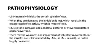 UPPER MOTOR AND LOWER MOTOR LESION .pptx