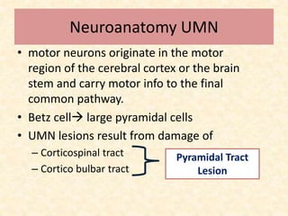 Neuroanatomy UMN
• motor neurons originate in the motor
region of the cerebral cortex or the brain
stem and carry motor info to the final
common pathway.
• Betz cell large pyramidal cells
• UMN lesions result from damage of
– Corticospinal tract
– Cortico bulbar tract
Pyramidal Tract
Lesion