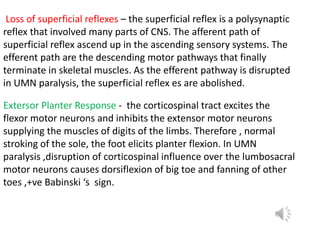 All about Upper Motor Neuron Lesion.pptx