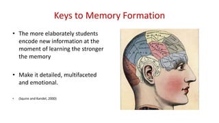 Keys to Memory Formation
• The more elaborately students
encode new information at the
moment of learning the stronger
the memory
• Make it detailed, multifaceted
and emotional.
• (Squire and Kandel, 2000)
 
