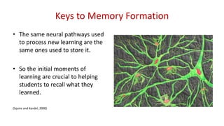 Keys to Memory Formation
• The same neural pathways used
to process new learning are the
same ones used to store it.
• So the initial moments of
learning are crucial to helping
students to recall what they
learned.
(Squire and Kandel, 2000)
 