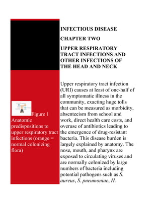 INFECTIOUS DISEASE
                       CHAPTER TWO
                       UPPER RESPIRATORY
                       TRACT INFECTIONS AND
                       OTHER INFECTIONS OF
                       THE HEAD AND NECK


                        Upper respiratory tract infection
                        (URI) causes at least of one-half of
                        all symptomatic illness in the
                        community, exacting huge tolls
                        that can be measured as morbidity,
                        absenteeism from school and
          Figure 1
                        work, direct health care costs, and
Anatomic
                        overuse of antibiotics leading to
predispositions to
upper respiratory tract the emergence of drug-resistant
infections (orange = bacteria. This disease burden is
                        largely explained by anatomy. The
normal colonizing
                        nose, mouth, and pharynx are
flora)
                        exposed to circulating viruses and
                        are normally colonized by large
                        numbers of bacteria including
                        potential pathogens such as S.
                        aureus, S. pneumoniae, H.
 