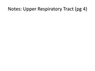 Notes: Upper Respiratory Tract (pg 4)
 