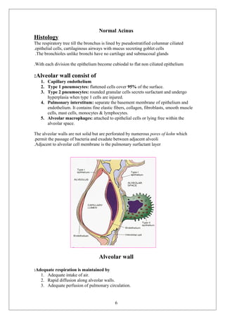 Normal Acinus Upper respiratory tract and the lung (1) | DOC