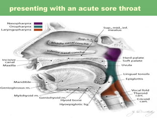 presenting with an acute sore throat 