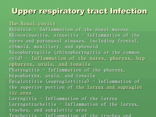 Upper respiratory tract Infection The Nasal cavity Rhinitis - Inflammation of the nasal mucosa  Rhinosinusitis, sinusitis - Inflammation of the nares and paranasal sinuses, including frontal, ethmoid, maxillary, and sphenoid  Nasopharyngitis (rhinopharyngitis or the common cold) -  Inflammation of the nares, pharynx, hypopharynx, uvula, and tonsils  Pharyngitis - Inflammation of the pharynx, hypopharynx, uvula, and tonsils  Epiglottitis (supraglottitis) - Inflammation of the superior portion of  the larynx and supraglottic area   Laryngitis - Inflammation of the larynx  Laryngotracheitis - Inflammation of the larynx, trachea, and subglottic area  Tracheitis - Inflammation of the trachea and subglottic area   