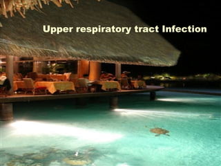 Upper respiratory tract Infection 