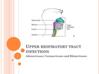 Upper respiratory tract infections | PDF