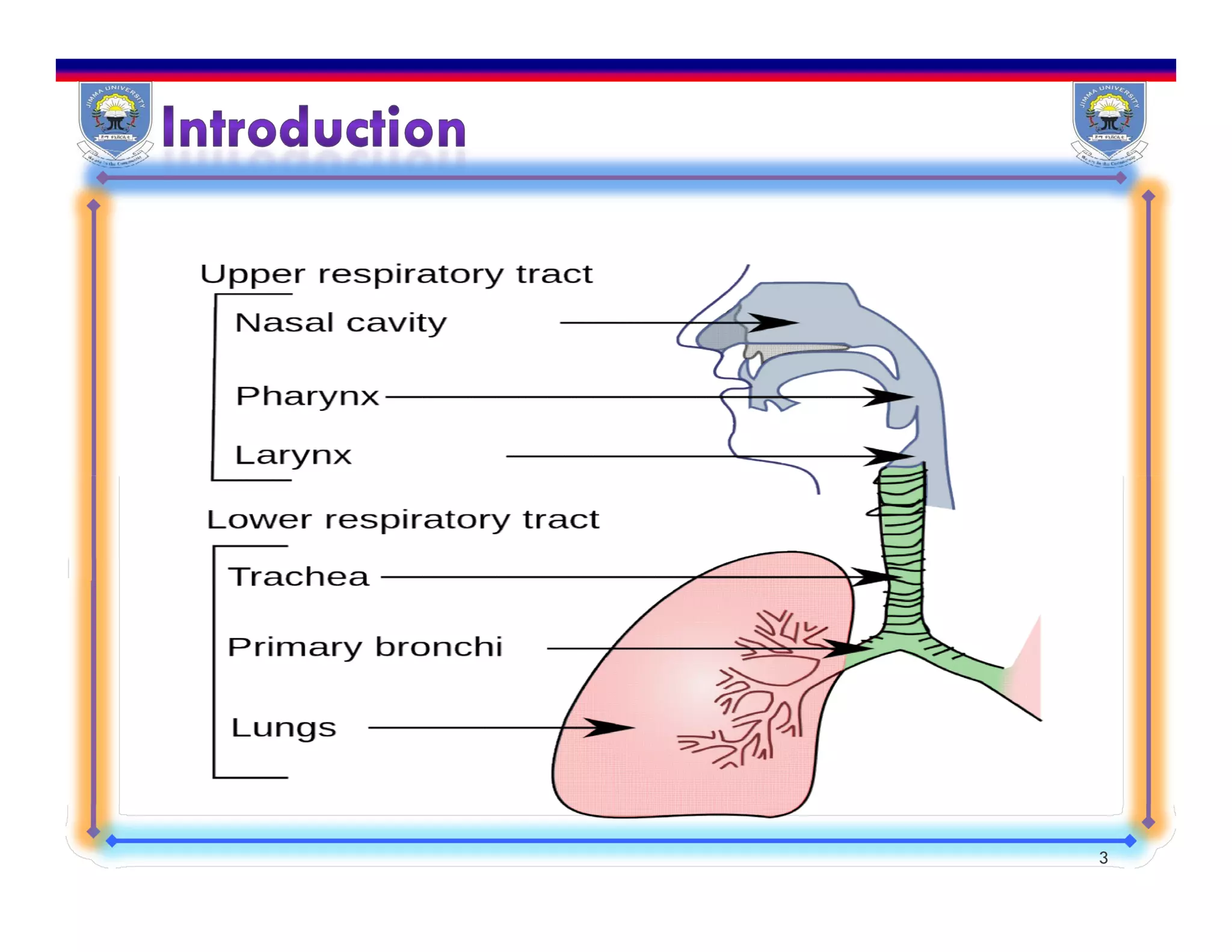 Pharmacotherapy of Upper respiratory tract infections | PDF