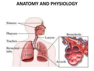 ANATOMY AND PHYSIOLOGY
 