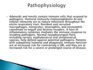  Adenoids and tonsils contain immune cells that respond to 
pathogens. Humoral immunity (immunoglobulin A) and 
cellular immunity act to reduce infections throughout the 
entire respiratory tract. Resident and recruited 
macrophages, monocytes, neutrophils, and eosinophils 
coordinate to engulf and destroy invaders. A host of 
inflammatory cytokines mediates the immune response to 
invading pathogens. Normal nasopharyngeal flora, 
including various staphylococcal and streptococcal 
species, help defend against potential pathogens. Patients 
with suboptimal humoral and phagocytic immune function 
are at increased risk for contracting a URI, and they are at 
increased risk for a severe or prolonged course of disease. 
 