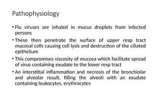 Pathophysiology
• Flu viruses are inhaled in mucus droplets from infected
persons
• These then penetrate the surface of upper resp tract
mucosal cells causing cell lysis and destruction of the ciliated
epithelium
• This compromises viscosity of mucosa which facilitate spread
of virus containing exudate to the lower resp tract
• An interstitial inflammation and necrosis of the bronchiolar
and alveolar result, filling the alveoli with an exudate
containing leukocytes, erythrocytes
 