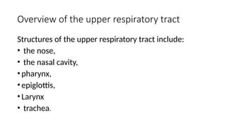 Overview of the upper respiratory tract
Structures of the upper respiratory tract include:
• the nose,
• the nasal cavity,
•pharynx,
•epiglottis,
•Larynx
• trachea.
 