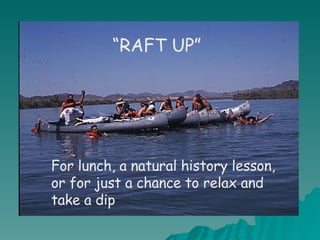 “ RAFT UP” For lunch, a natural history lesson, or for just a chance to relax and take a dip   