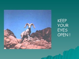 KEEP YOUR EYES OPEN ! 