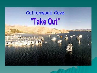 Cottonwood Cove "Take Out" 