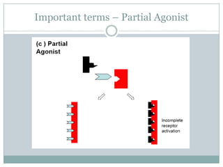 Important terms – Partial Agonist
 