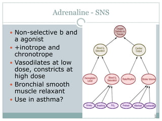 Adrenaline - SNS

 Non-selective b and
    a agonist
   +inotrope and
    chronotrope
   Vasodilates at low
    dose, constricts at
    high dose
   Bronchial smooth
    muscle relaxant
   Use in asthma?
 
