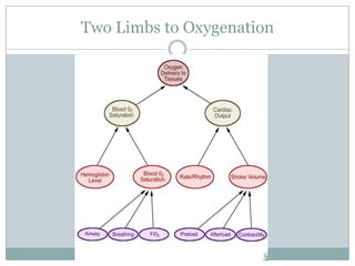 Two Limbs to Oxygenation
 