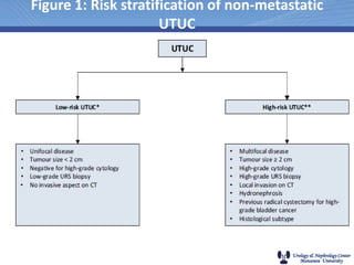 UPPER TRACT UC PRESENTATION.pptx