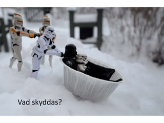 Vad skyddas?
 