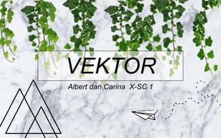 VEKTOR
Albert dan Carina X-SC 1
 