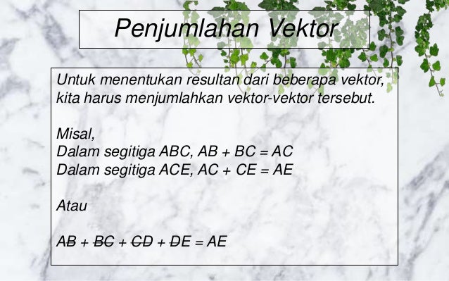 Vektor Albert Carina