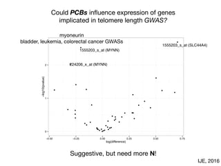 Suggestive, but need more N!
0
1
2
−0.50 −0.25 0.00 0.25 0.50 0.75
log(difference)
−log10(pvalue)
1555203_s_at (SLC44A4)
1555203_s_at (MYNN)
224206_x_at (MYNN)
Could PCBs inﬂuence expression of genes

implicated in telomere length GWAS?
myoneurin

bladder, leukemia, colorectal cancer GWASs
IJE, 2016
 