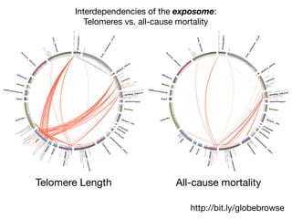 Telomere Length All-cause mortality
http://bit.ly/globebrowse
Interdependencies of the exposome:
Telomeres vs. all-cause mortality
 
