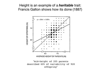 Height is an example of a heritable trait:

Francis Galton shows how its done (1887)
“mid-height of 205 parents
described 60% of variability of 928
offspring”
 