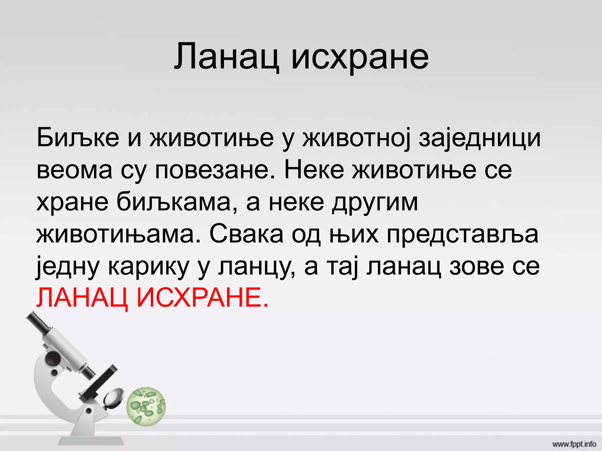U prirod je sve povezano | PPT