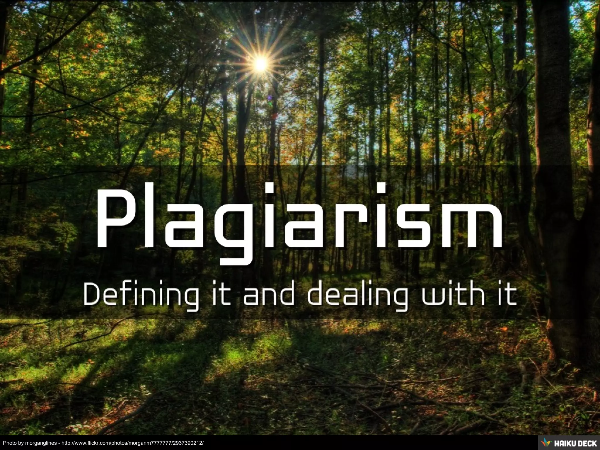 Photo by morganglines - http://www.flickr.com/photos/morganm7777777/2937390212/