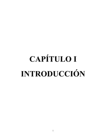 1
CAPÍTULO I
INTRODUCCIÓN
 