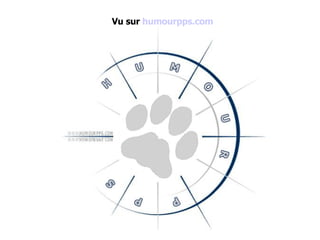 Vu sur  humourpps.com 