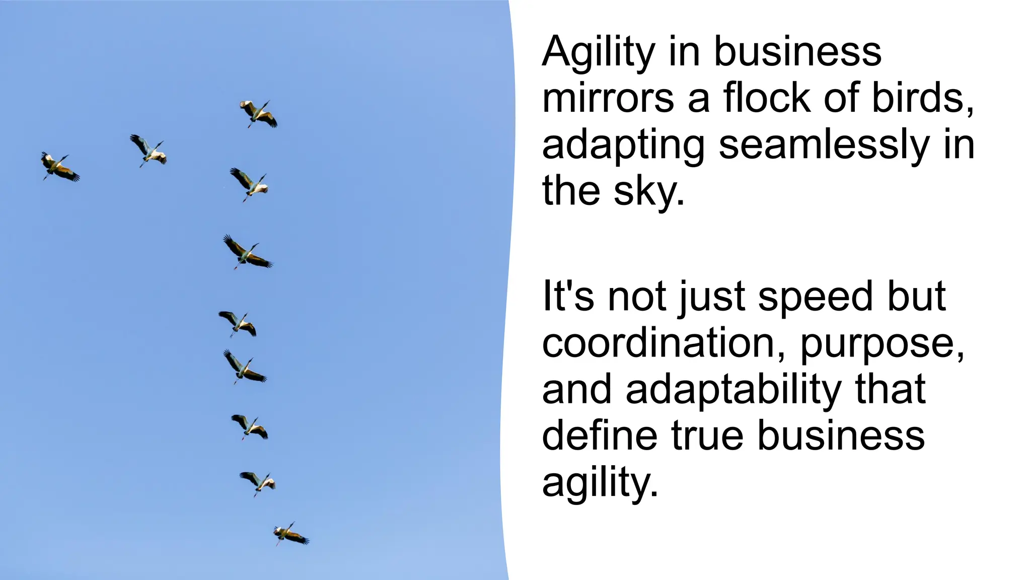 Agility in business
mirrors a flock of birds,
adapting seamlessly in
the sky.
It's not just speed but
coordination, purpose,
and adaptability that
define true business
agility.
 