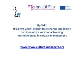 Up Skilling cultural managers: matching skills needs by improving vocational training