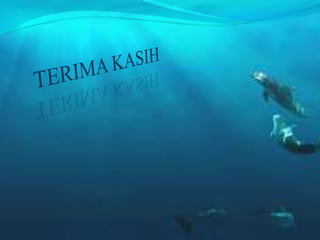 PELAYANAN DINAS KEPENDUDUKAN DAN CATATAN SIPIL DALAM PEMBUATAN AKTA PERKAWINAN DI KABUPATEN SERAM BAGIAN TIMUR PROVINSI MALUKU