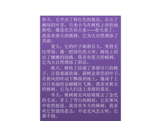春天，它开出了粉红色的桃花，长出了 
嫩绿的叶芽，引来小鸟在树枝上欢快地 
歌唱，像是在告诉大家——春天来了。 
我喜欢春天的桃树，它为大自然增添了 
美丽。 
夏天，它的叶子渐渐长大，变得无 
比翠绿，像一把绿色的大伞。树枝上结 
出了嫩嫩的幼桃。我喜欢夏天的桃树， 
它为大自然增添了阴凉。 
秋天，树枝上结满了香甜可口的桃 
子，让我垂涎欲滴。满树金黄色的叶子， 
在秋风的吹动下飘落到地上，像成千上 
万只美丽的金蝴蝶在飞舞。我喜欢秋天 
的桃树，它为人们送上香甜的果实。 
冬天，桃树被北风姑娘脱去了金色 
的毛衣，穿上了雪白的棉袄，它在寒风 
中依然挺拔。我喜欢冬天的桃树，我喜 
欢它坚强的意志，不论北风怎么吹，它 
都不倒。 
 