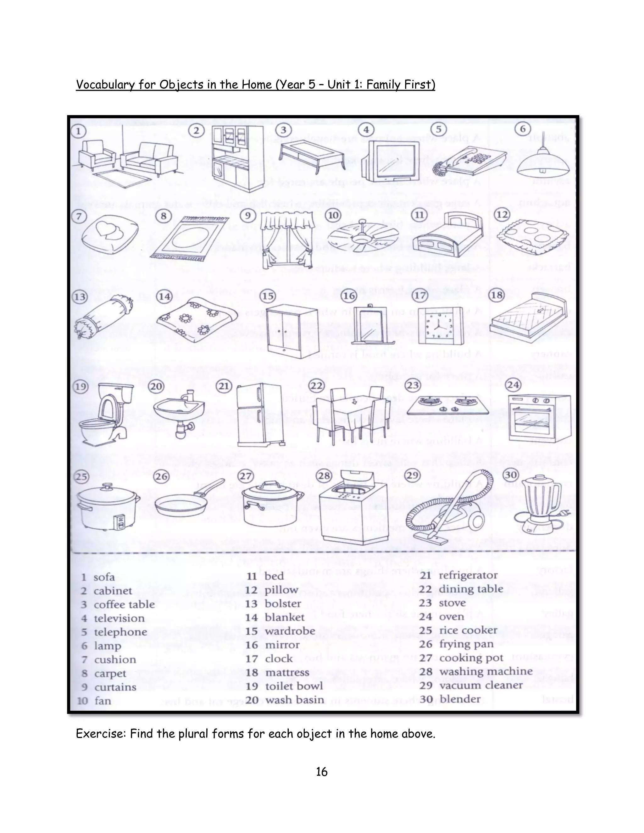 Vocabulary for Objects in the Home (Year 5 – Unit 1: Family First)




Exercise: Find the plural forms for each object in the home above.


                                            16
 