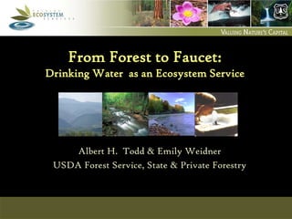 USDA Forest Service

S&PF, Cooperative Forestry

Ecosystem Services and Markets

From Forest to Faucet:
Drinking Water as an Ecosystem Service

Albert H. Todd & Emily Weidner
USDA Forest Service, State & Private Forestry

 